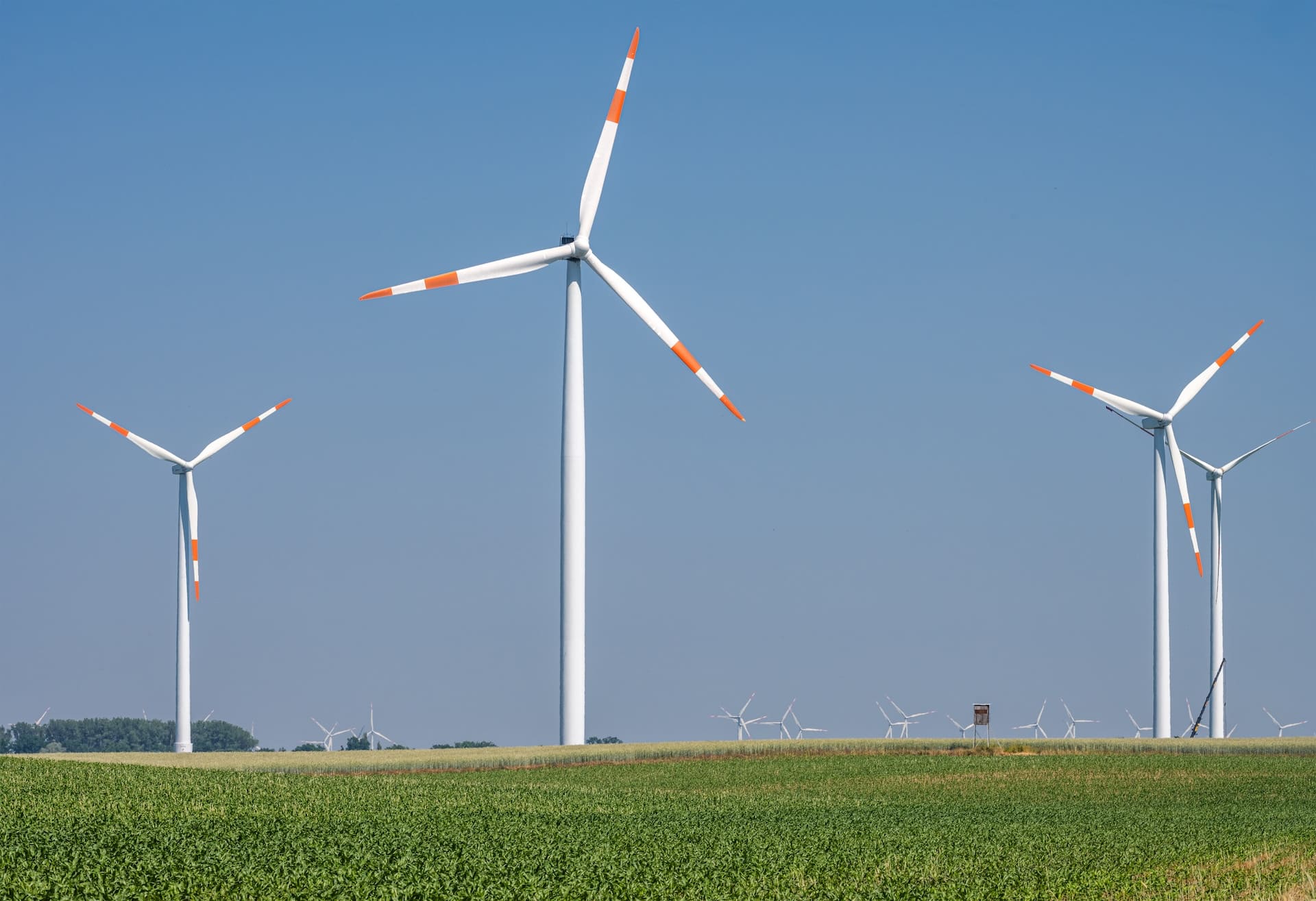 wind-turbines-across-field-against-blue-sky-2026-03-24-07-56-55-utc